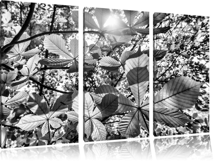 Pixxprint Monocrome, Grüne Blätter 3-Teiler Leinwandbild 120x80 Bild auf Leinwand