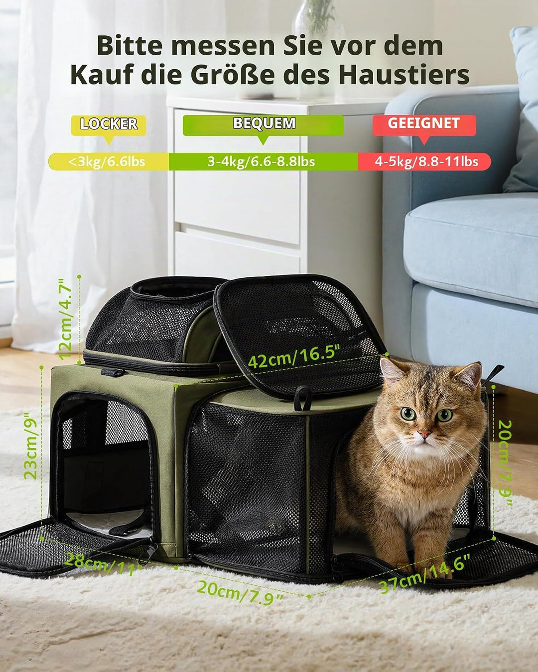 pecute Katzentasche Flugzeug Transporttasche Stabiler Halt Haustier Tragetasche Seitlich Erweiterbar