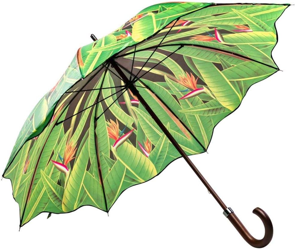 LUCKYWEATHER Regenschirm Stockschirm Damen Motiv Strelitzien I Stockregenschirm gross und stabil sow