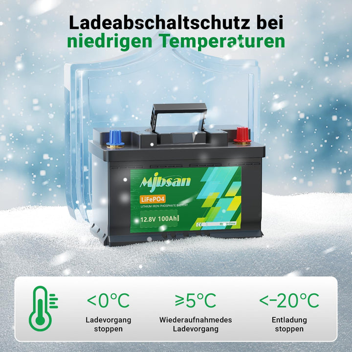 Mjbsan 12V 100Ah Mini LiFePO4 Lithium Batterie mit Kleiner Grösse und geringem Gewicht, Eingebaute 1