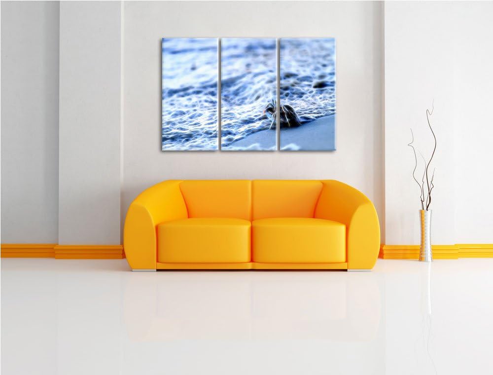 kleine Krabbe am Strand NewArt 3-Teiler Leinwandbild 120x80 Bild auf Leinwand, XXL riesige Bilder fe
