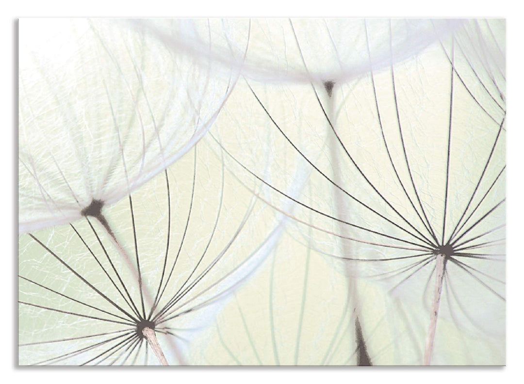 ARTland Spritzschutz Küche aus Alu für Herd Spüle 70x50 cm (BxH) Küchenrückwand mit Motiv Blume Pust