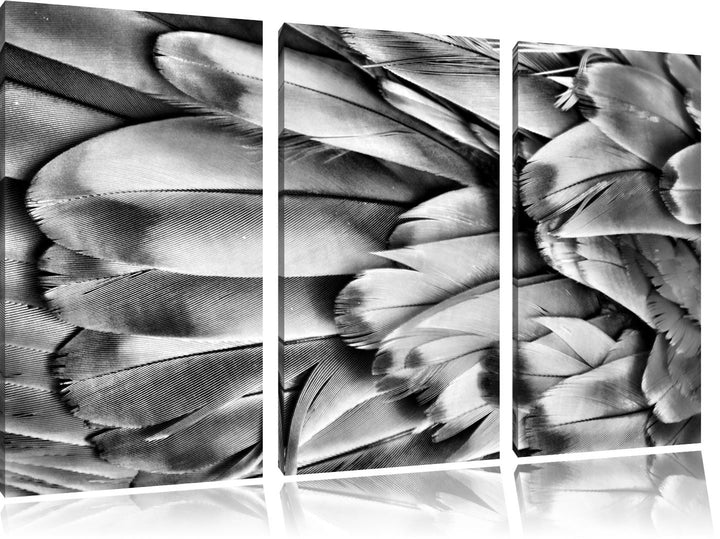 Pixxprint Bunte Papageienfedern als Leinwandbild/Grösse: 3 Teilig (120x80) cm/Wandbild/Kunstdruck/fe