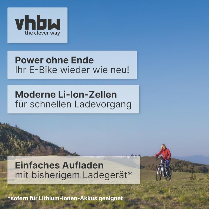 vhbw Akku kompatibel mit Panasonic Flyer S Street 26", S Street 28", S Tour 26", S Tour 28" E-Bike (
