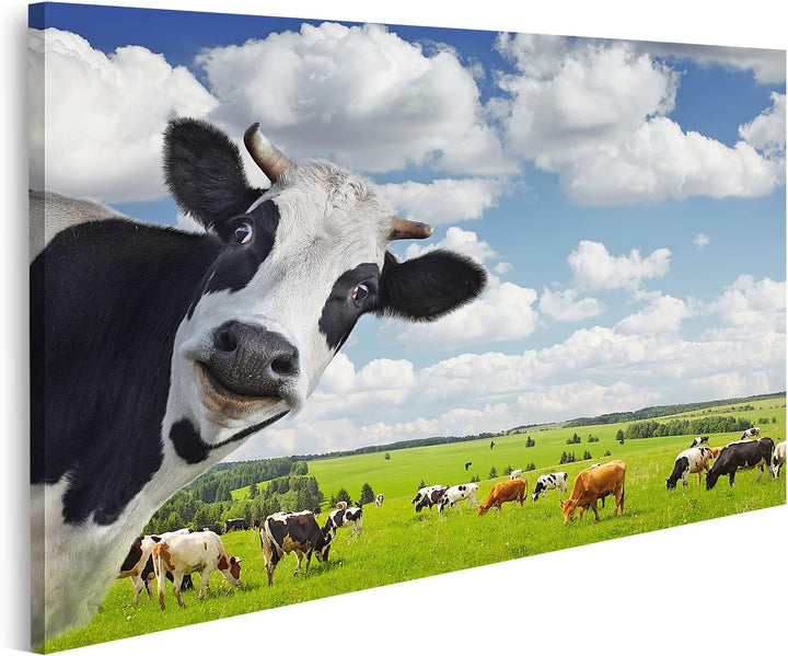 islandburner Bild auf Leinwand Lustige Kuh Auf Ländlicher Wiese Bilder Wandbilder Poster Leinwand 80