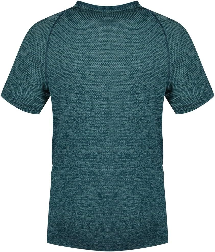 Odlo Herren Essential Seamless T-Shirt Laufshirt S Saxony Blue Melange, S Saxony Blue Melange