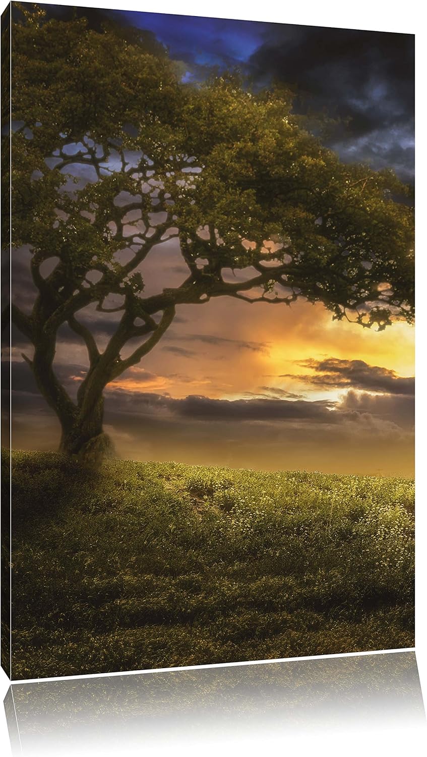 Pixxprint Einsamer Baum schwarz weiss / 100x70cm Leinwandbild bespannt auf Holzrahmen/Wandbild Kunst