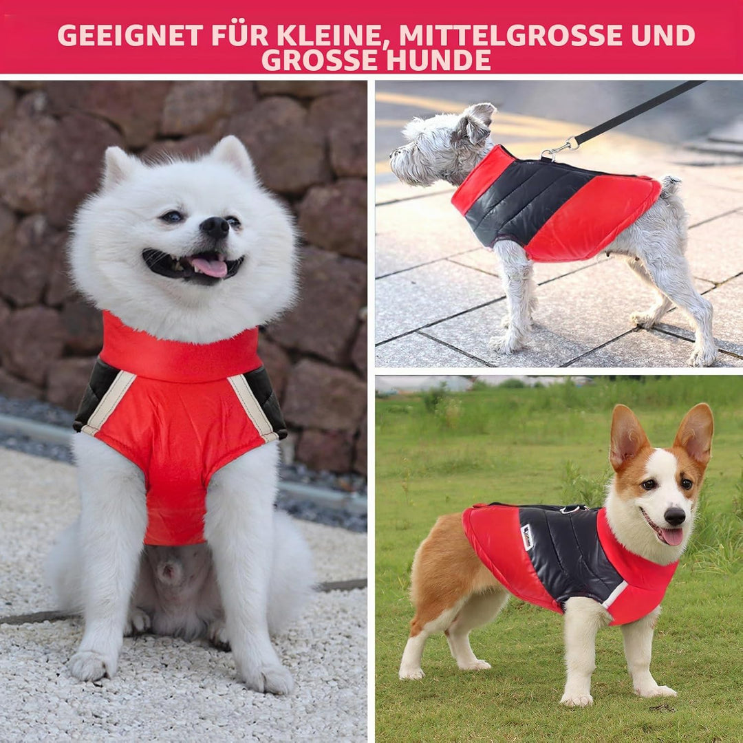 Idepet Haustier Hund Warm Mantel Jacke wasserdichte Kleidung Kleine mittlere grosse Haustier Hund Ka