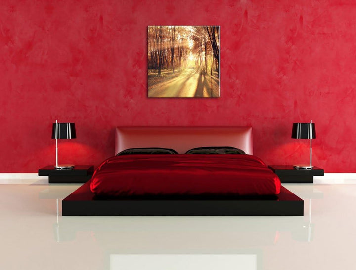 Baumallee im Herbst, Format: 70x70 auf Leinwand, XXL riesige Bilder fertig gerahmt mit Keilrahmen, K
