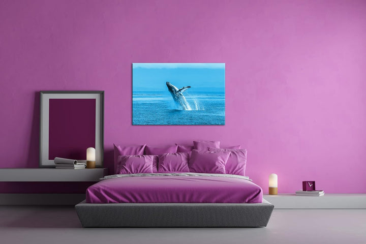 deyoli atemberaubender Buckelwal im Meer Format 80x60 Effekt: Monocrome Blau als Leinwandbild, Motiv