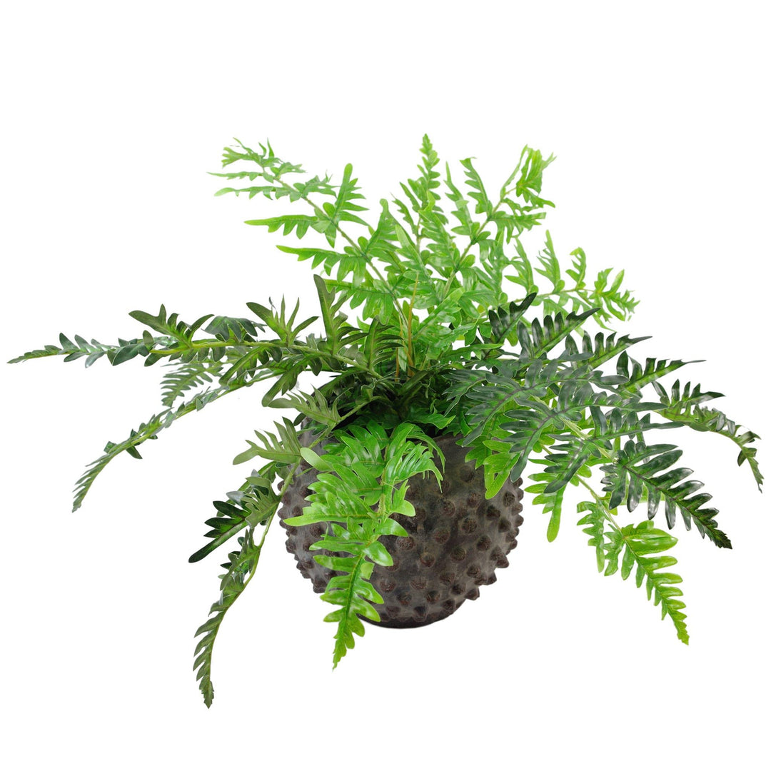 Leaf Realistische Kunstfarnpflanze 50 cm 50 Cm Breiter Farn, 50 cm 50 Cm Breiter Farn