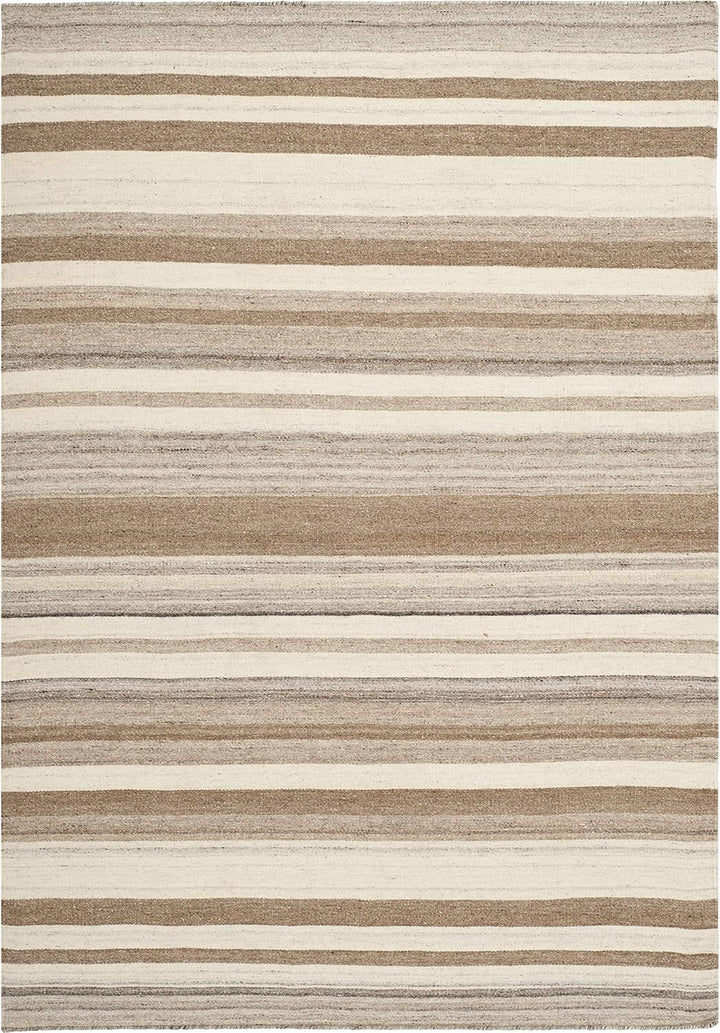 SAFAVIEH Zeitgenössische Teppich für Wohnzimmer, Esszimmer, Schlafzimmer - Dhurrie Collection, Kurze