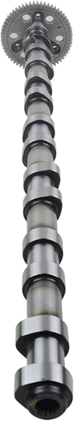 Einlass Nockenwelle 11317791579 Kompatibel mit 3er 5er 6er 7er X3 X5 X6 E46 E90 E91 E92 E93 E39 E60