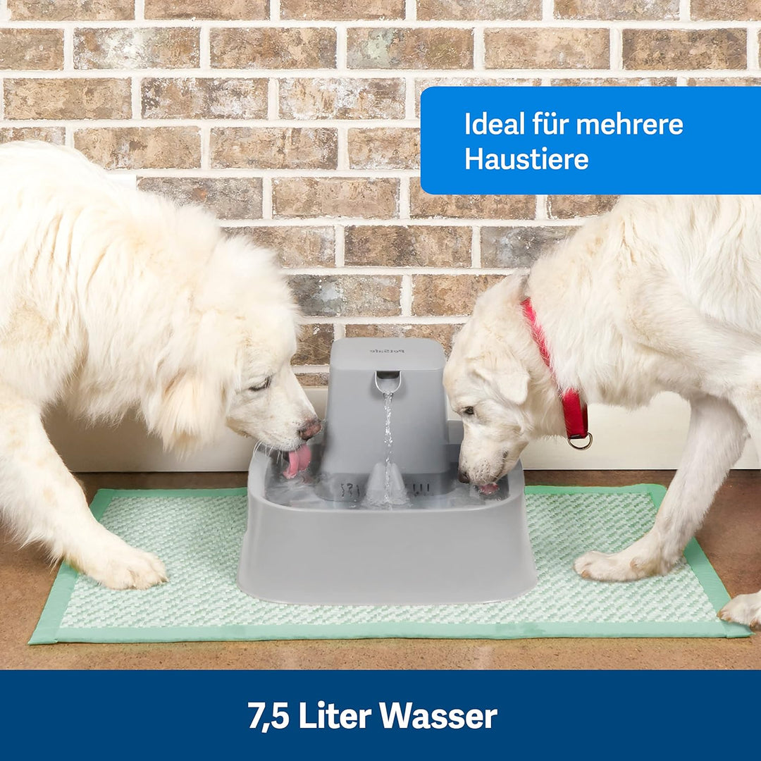 PetSafe 7,5 Liter Trinkbrunnen Drinkwell für Hunde und Katzen, Duales Filtersystem, aus BPA-freiem K