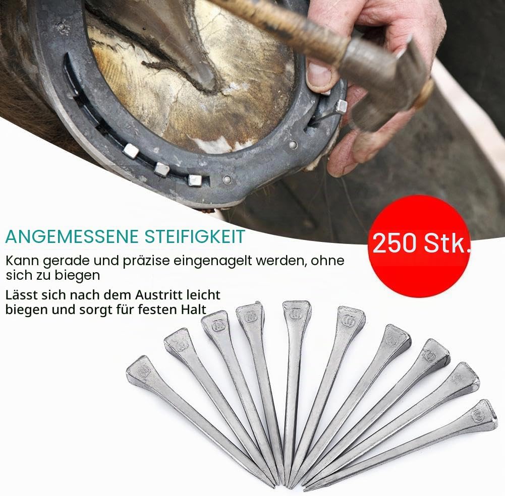 Nikou Hufeisennagel - 250PCS E6 hochfester Stahlhufzapfen Sicheres festes Werkzeugzubehör für Pferde