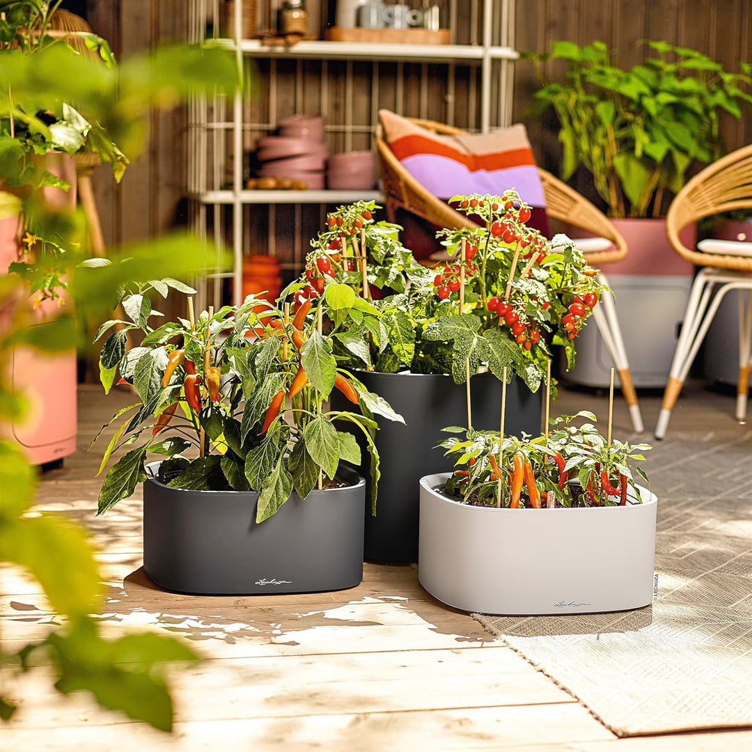 LECHUZA  PILA Color Stick-System lichtgrau 15944 35x35x16,6 cm Lichtgrau, 35x35x16,6 cm Lichtgrau