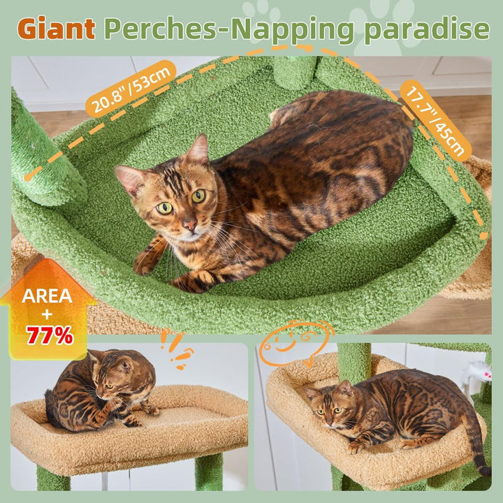 Taoqimiao 180CM Kratzbaum Gross XXL, Katzenbaum Grosse Katzen Stabil kratzbaum Maine Coon mit Katzen
