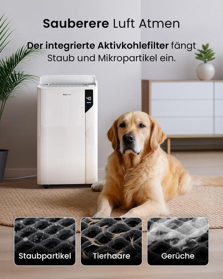 Pro Breeze Luftentfeuchter 20L in 24h Entfeuchtungsleistung - Luftentfeuchter elektrisch mit Wäschem