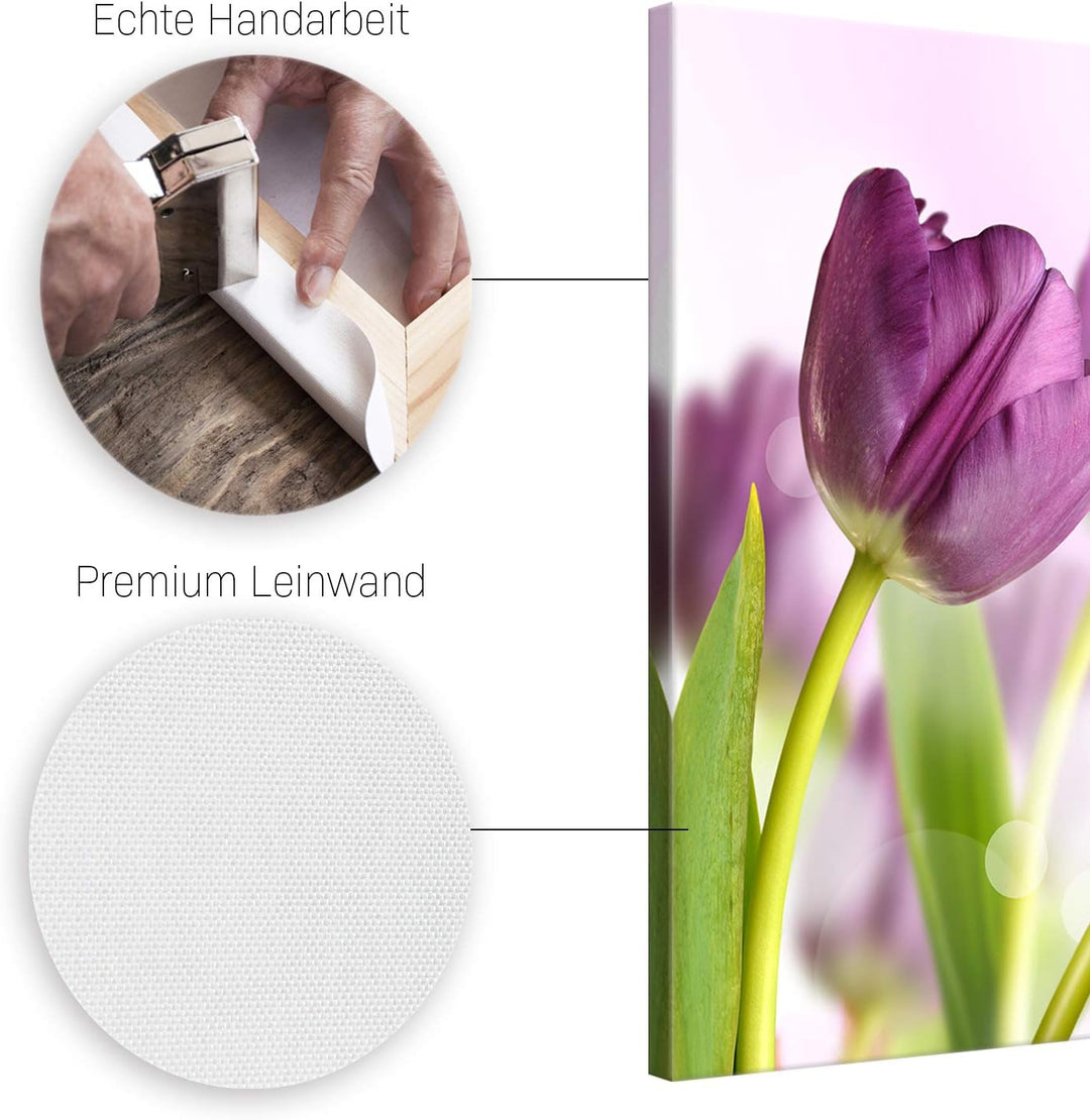 ge Bildet Bild auf Leinwand | Tulpe - Blumen Violett Natur E in 90x60 cm mehrteilig als Wandbild | W