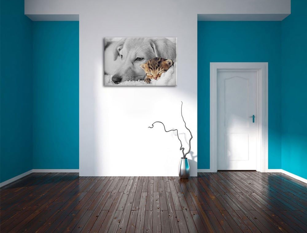 Pixxprint Träumendes Kätzchen neben Hund als Leinwandbild/Grösse: 100x70 cm/Wandbild/Kunstdruck/fert