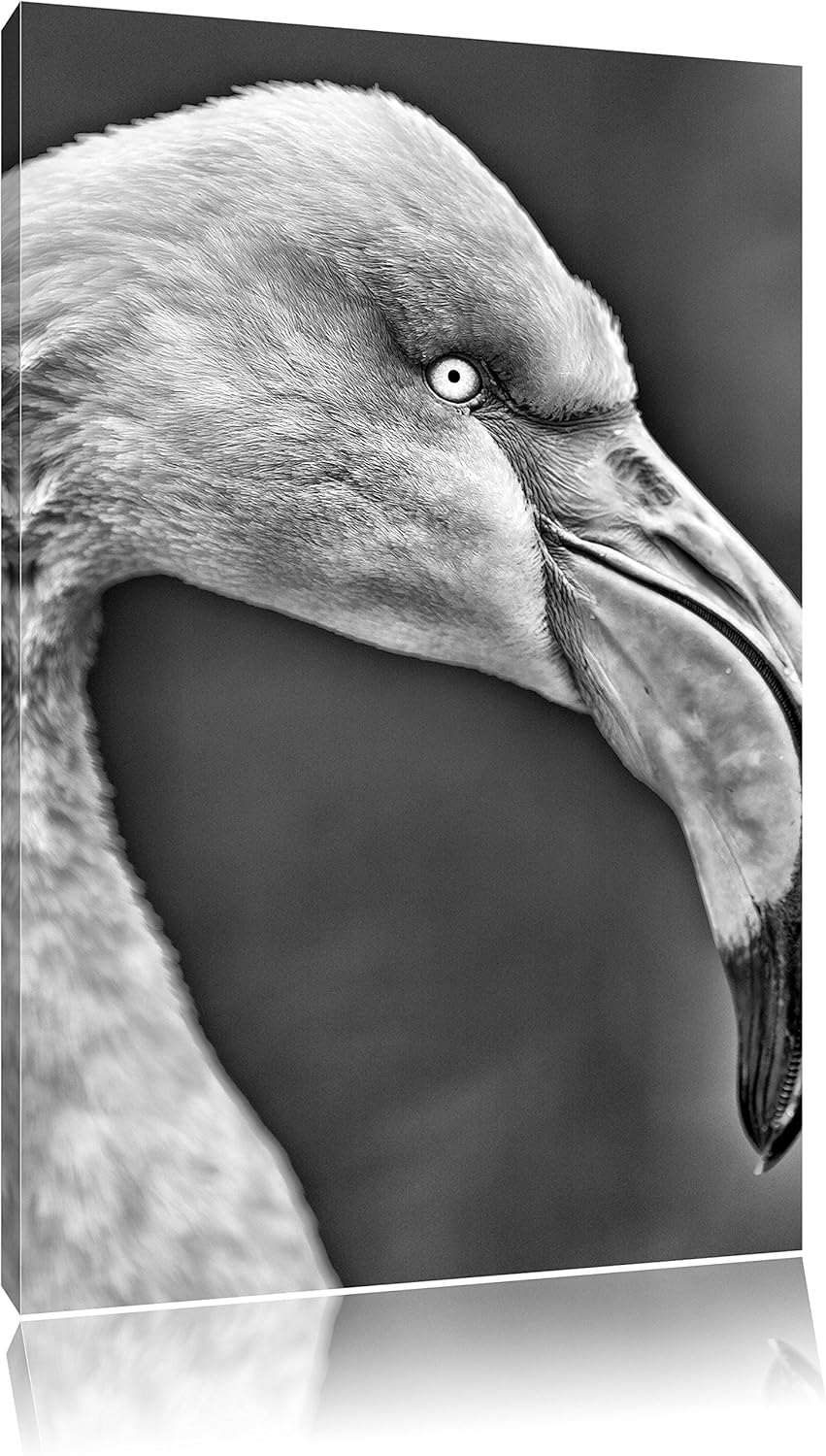 Pixxprint Monocrome, Flamingo im Seitenprofil, Format: 100x70 auf Leinwand, riesige Bilder fertig ge