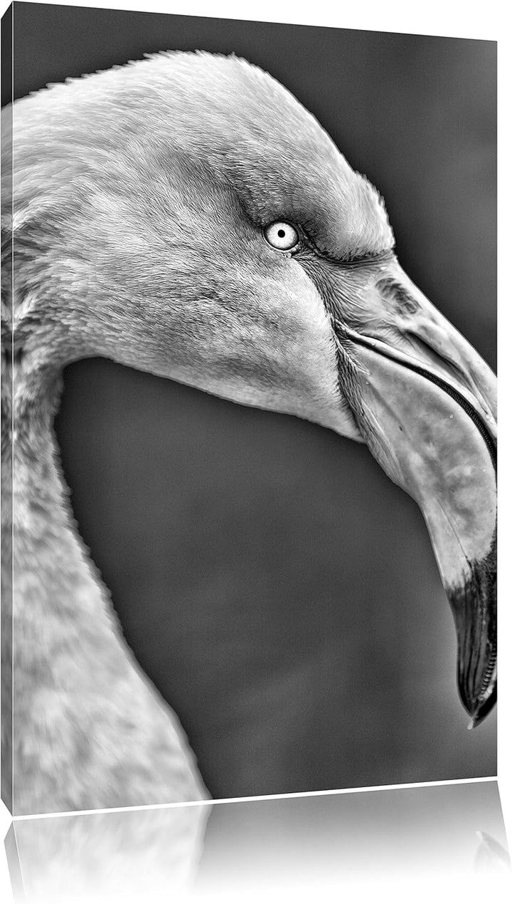 Pixxprint Monocrome, Flamingo im Seitenprofil, Format: 100x70 auf Leinwand, riesige Bilder fertig ge
