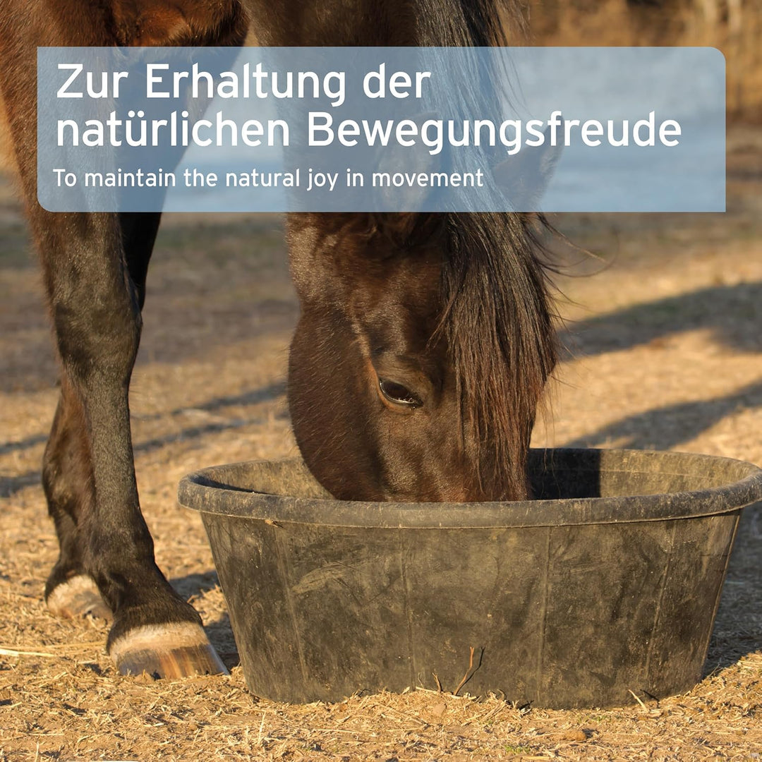 AniForte Mauke Formel für Pferde 1kg - Natürliche Hautpflege & Hufpflege, Unterstützt Stoffwechsel &
