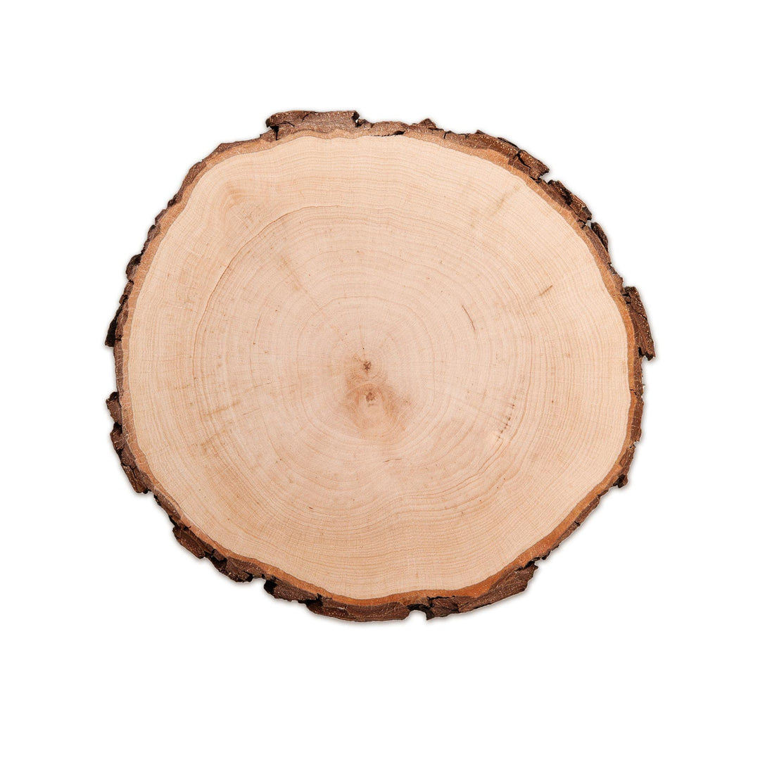 Baumscheibe aus echtem Holz mit Rinde, Runde Holzdeko Baumstamm Scheibe, Natürliche Holzscheibe zum