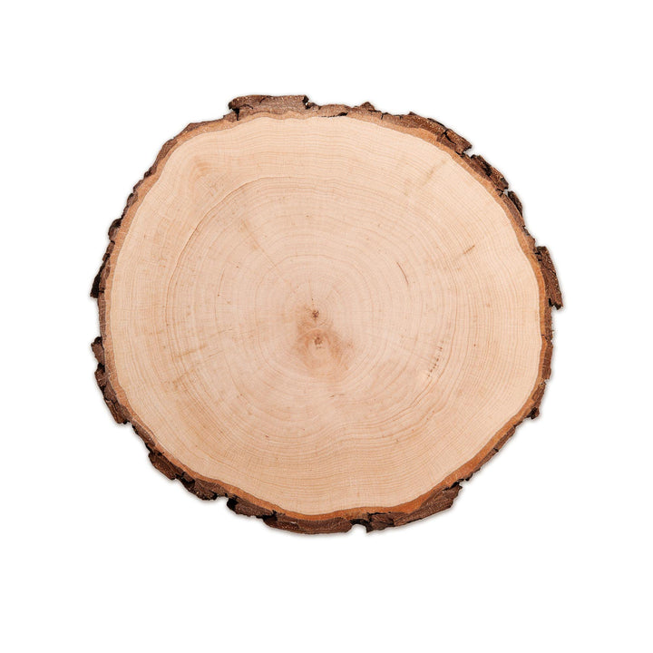 Baumscheibe aus echtem Holz mit Rinde, Runde Holzdeko Baumstamm Scheibe, Natürliche Holzscheibe zum