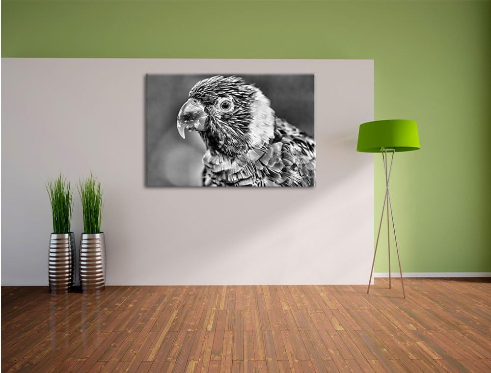 Pixxprint farbenfroher Papagei als Leinwandbild/Grösse: 100x70 cm/Wandbild/Kunstdruck/fertig bespann