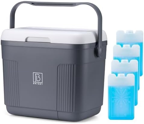 Brisby 22L Kühlbox – Passiv & Ohne Strom – mit 4 Grossen Kühlakkus à 450ml – Bis zu 40 Std. Kühl / 1