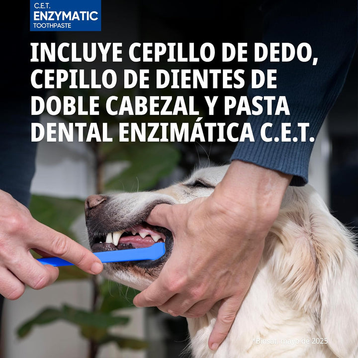 CET KIT CEPILLO + DENTIFRICO ENZIMATICO 70GR