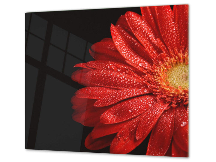Schneidbrett aus Hartglas und schützende Arbeitsoberfläche – Schneideplatten SINGLE mit 60 x 52 cm u