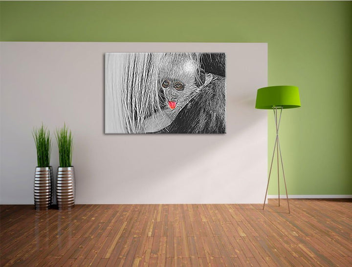 bildschönes Colobus-Äffchen schwarz/weiss Deluxe Format: 100x70 cm auf Leinwand, XXL riesige Bilder