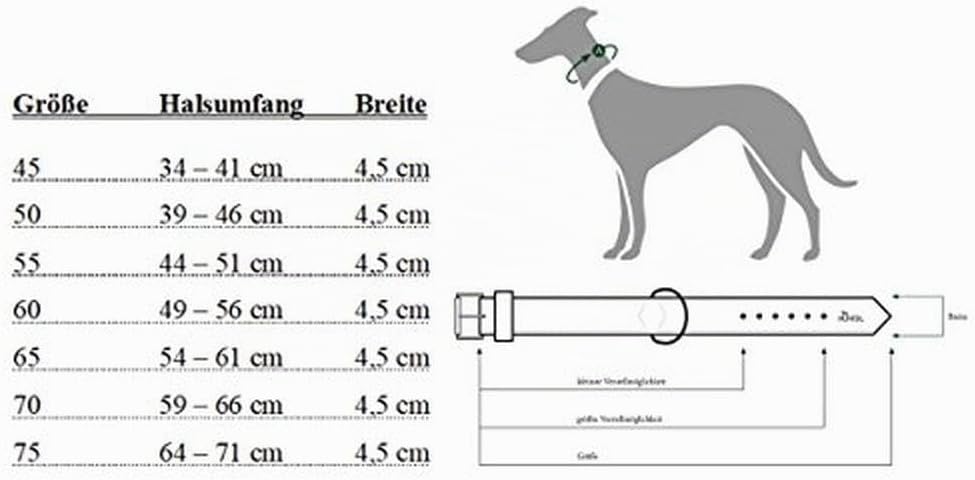 HUNTER Hundehalsband NEOPREN REFLECT, Farbe: rot/schwarz, weiche Polsterung, reflektierend, besonder