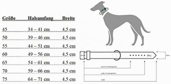 HUNTER Hundehalsband NEOPREN REFLECT, Farbe: rot/schwarz, weiche Polsterung, reflektierend, besonder