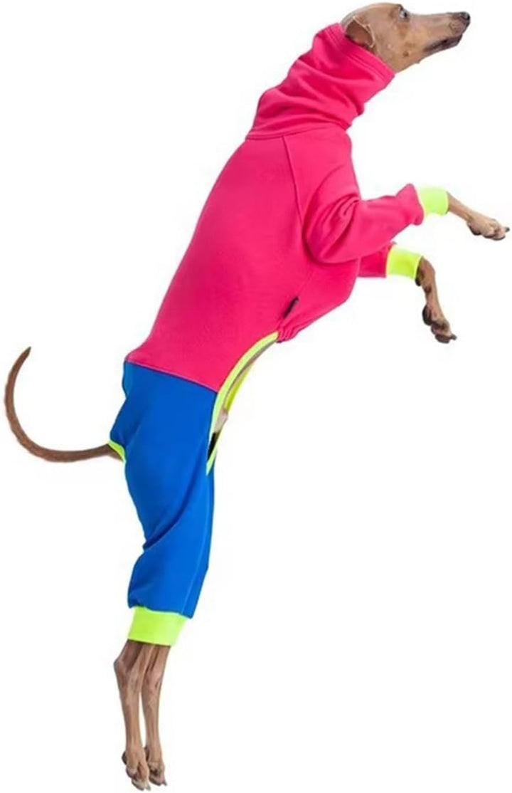Windhund-Winterkleidung, elastisch, Whippet, vierbeinig, Fleece-Mantel, schlanker Hund, kaltes Wette