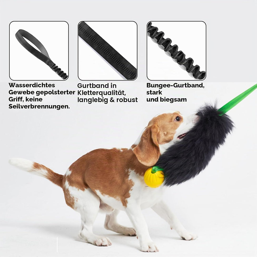 HOWGO Bungee-Chaser-Spielzeug für Hunde, 100% Schaffell, Bungee-Chaser-Spielzeug, Seil-Fogy, Zerrspi
