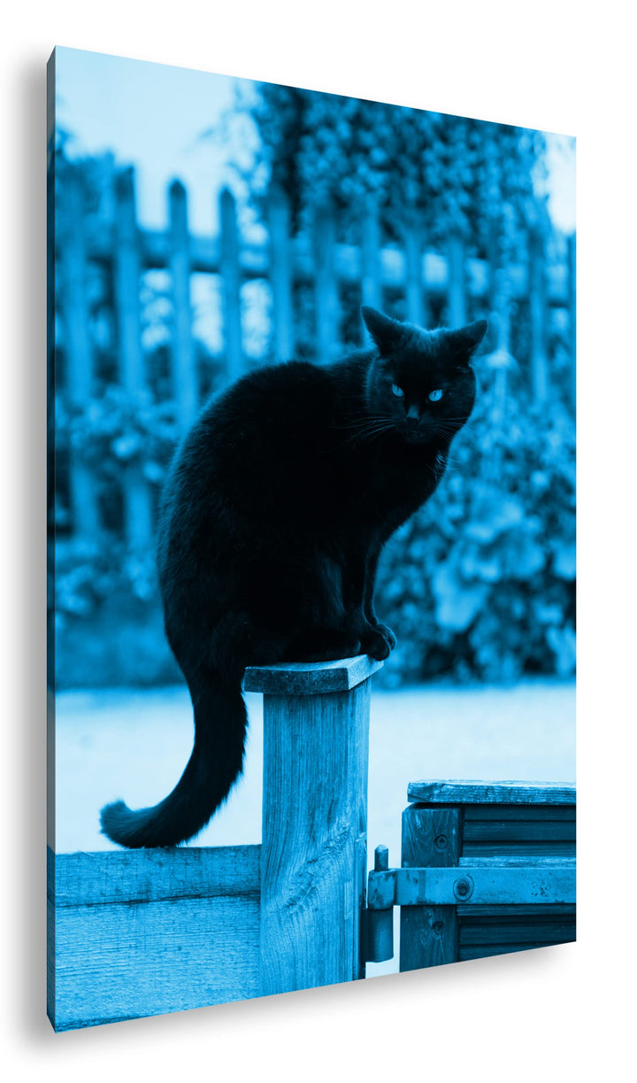 deyoli thronende Schwarze Katze Format 120x80 Effekt: Monocrome Blau als Leinwandbild, Motiv fertig