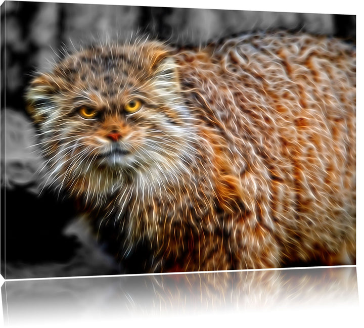 gereizte kleine Manul schwarz/weiss Deluxe Format: 100x70 cm auf Leinwand, XXL riesige Bilder fertig