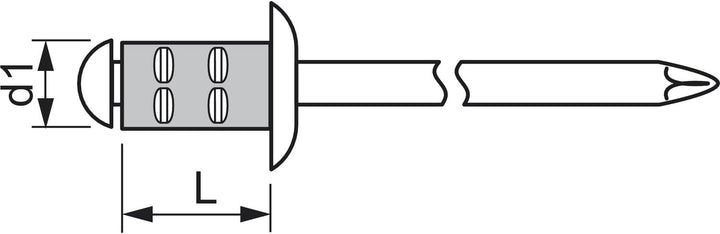 GESIPA Blindniete PolyGrip 500 Stück (Alu/Stahl 4,8x10, Nietschaft-ø 4,8 mm, Scherkraft 1500 N, Zugk