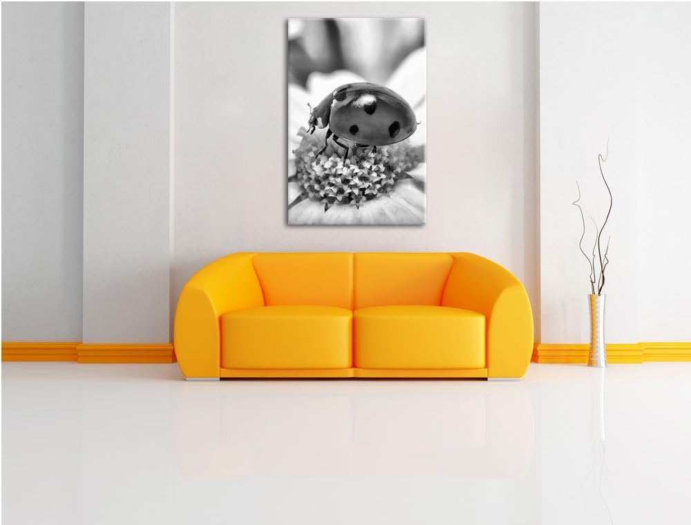 Pixxprint Marienkäfer auf Gänseblümchen als Leinwandbild/Grösse: 100x70 cm/Wandbild/Kunstdruck/ferti