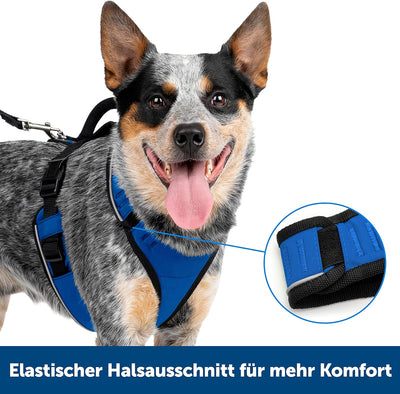 PetSafe EasySport Hundegeschirr, Komplett gepolstert mit elastischem Halsteil, Für Hunde von 29,5 kg