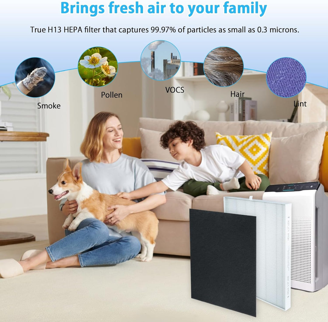 115115 HEPA Ersatzfilter a Kompatibel mit Winix PlasmaWave Luftreiniger 5300-2, C535, 6300-2, 5300,5