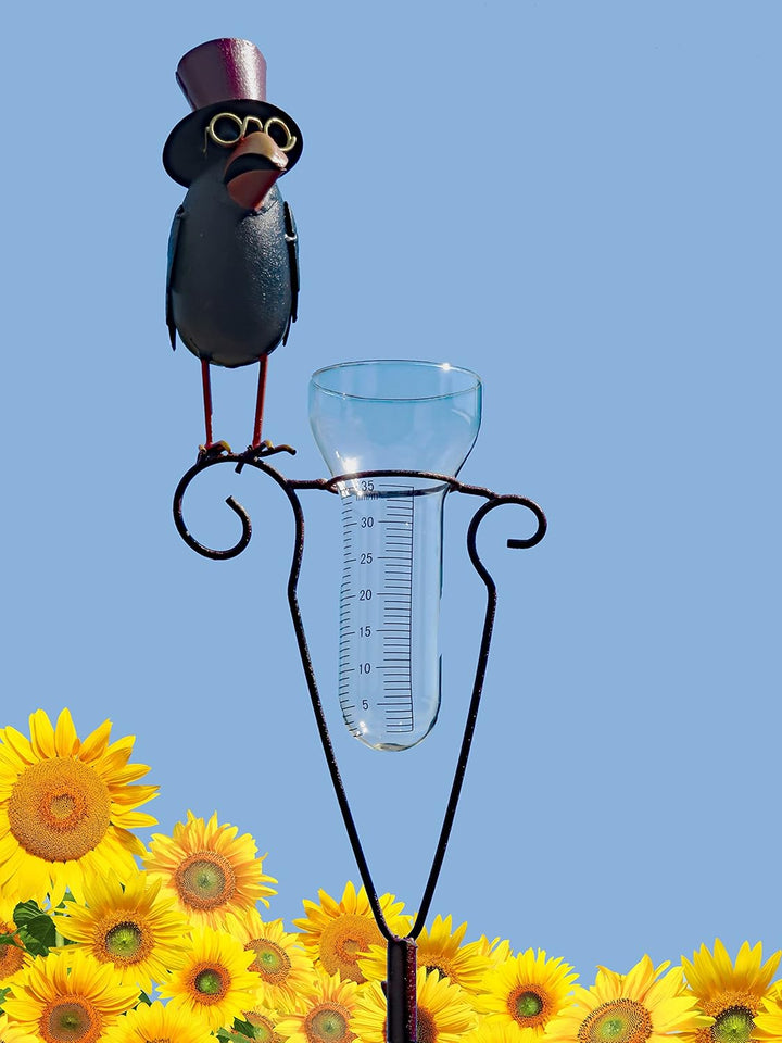 Pommerntraum ® | Regenmesser Pluviometer Niederschlagsmesser Herr Prof. Dr. Rabe verrückter Vogel mi
