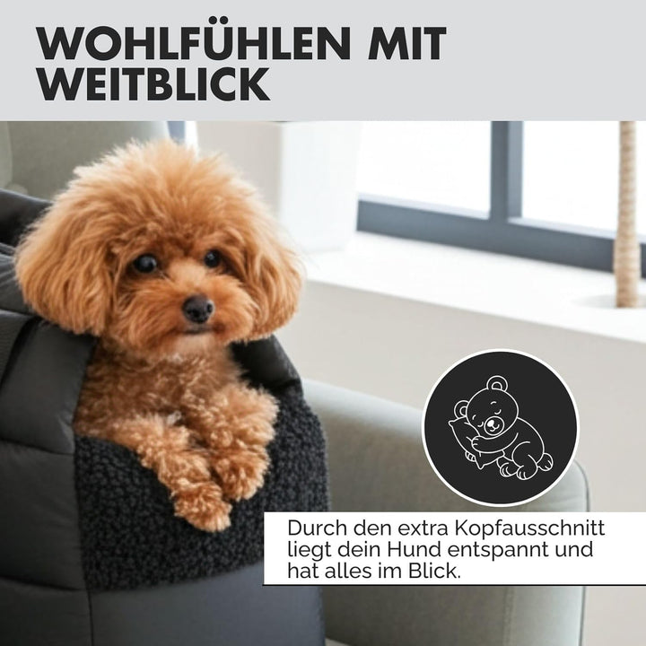 Hundetragetasche SARA | stilvolle Hundetragetasche für kleine Hunde | Wind- & wasserabweisend | Tedd