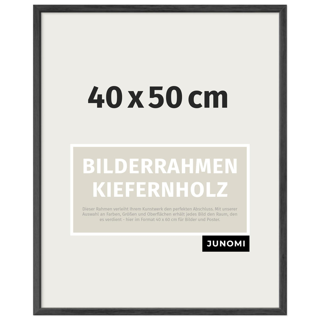 Bilderrahmen 40x50 cm Holz | Farbe Schwarz | Posterrahmen mit bruchsicherem Acrylglas | Hoch- & Quer