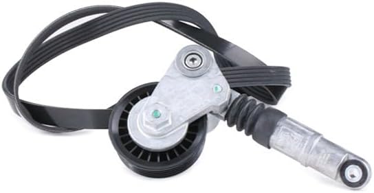 SKF VKMA 31000 Spannrollensatz für Nebentrieb