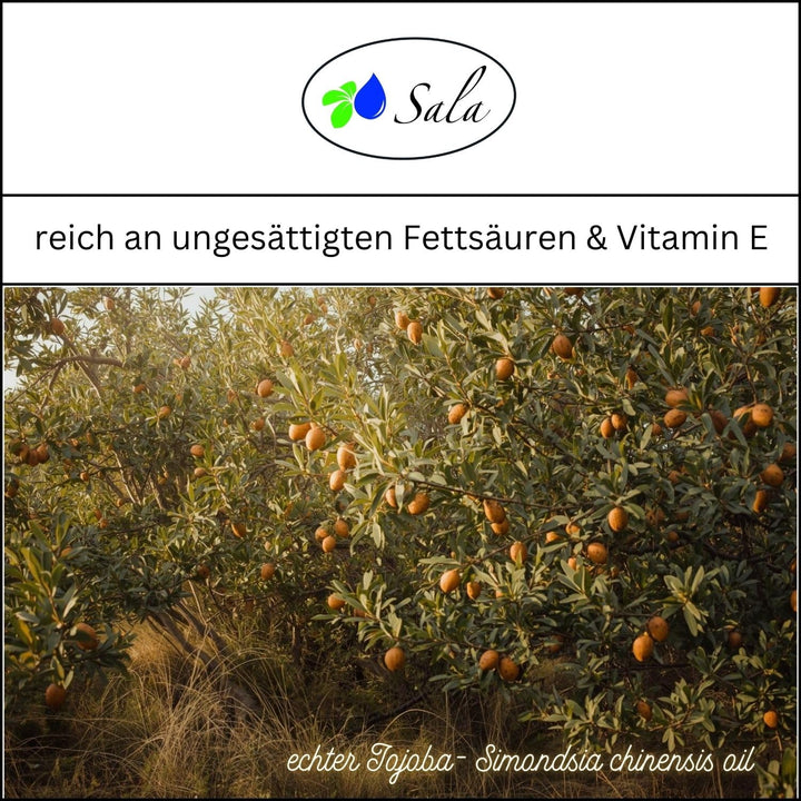 Sala Jojobaöl kaltgepresst BIO kbA 1 L 1000 ml PET Flasche mit Pumpe Jojobaöl kaltgepresst bio 1 l (