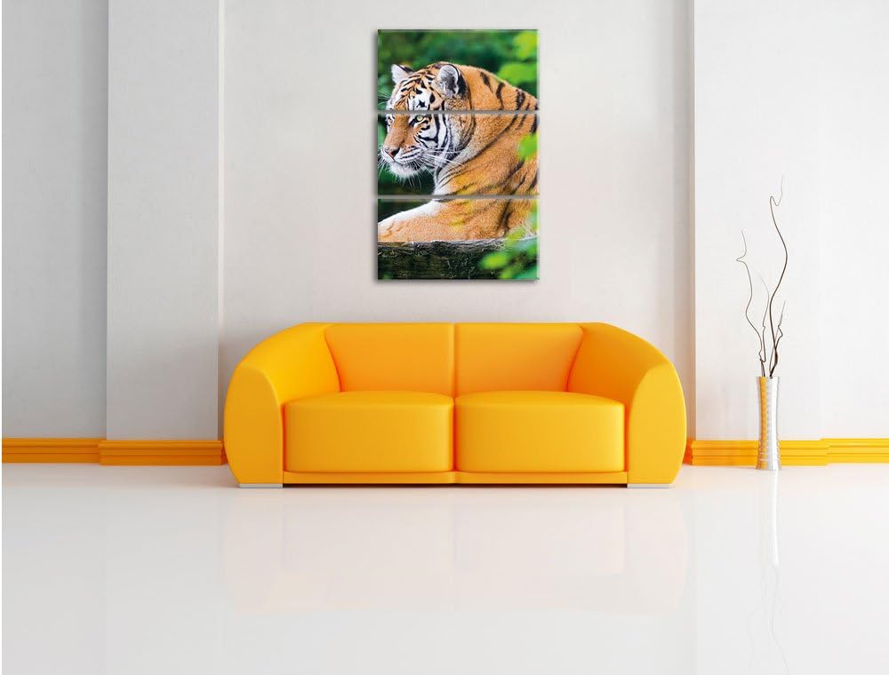 Pixxprint anmutiger Tiger auf Baumstamm als Leinwandbild/Grösse: 3 Teilig (120x80) cm/Wandbild/Kunst